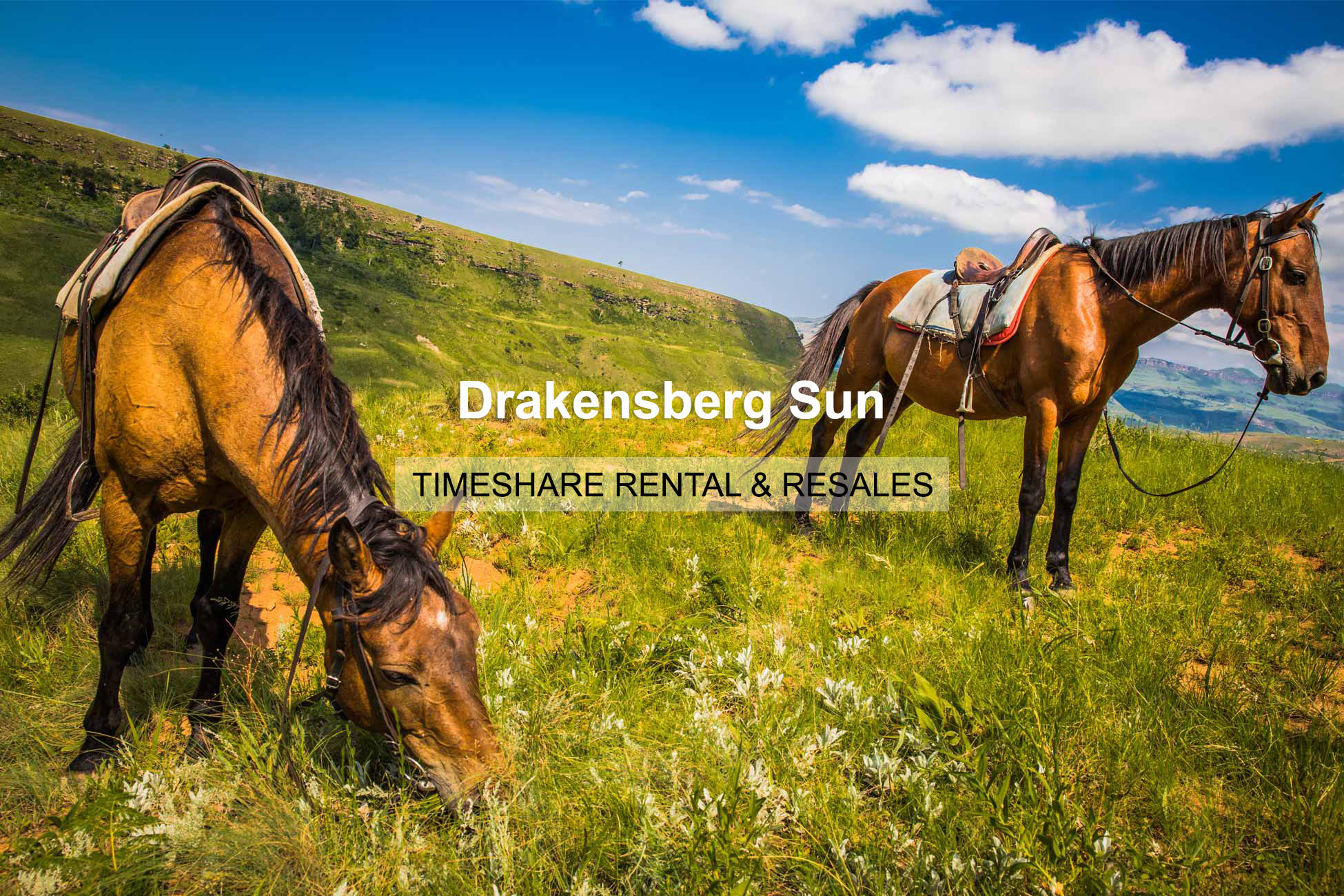 drakensberg sun resort 2